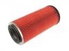 Luftfilter Air Filter:16546-06N00