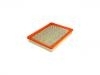 Air Filter:25096932