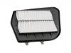 Luftfilter Air Filter:25728874