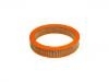 Luftfilter Air Filter:83500999