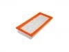 Luftfilter Air Filter:5M6Z-9601-AA