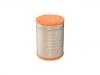 Luftfilter Air Filter:17801-3000A