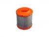 Luftfilter Air Filter:04891097AA