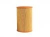 Luftfilter Air Filter:77 00 866 353