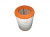 Air Filter:51843850