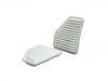 Luftfilter Air Filter:21999324