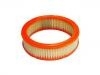 Luftfilter Air Filter:25040881