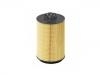 Fuel Filter:21040558