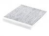 Filter, Innenraumluft Cabin Air Filter:100002158