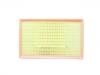 Filtro de aire Air Filter:11090140B01B00