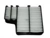 Air Filter:1109120-SA02