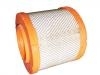 Air Filter:1109060PK