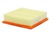 Air Filter:10170100B10022